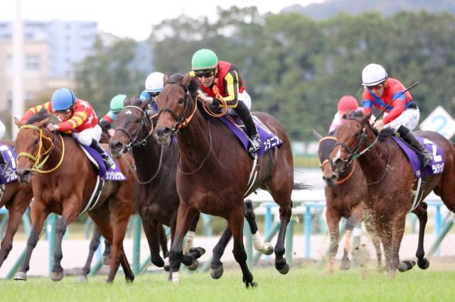 【エリザベス女王杯・記録メモ1】1番人気が苦戦　古馬が出走可能になった96年以降1番人気わずか6勝　頭は控えた方がいい?