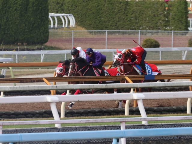 【POG】名牝の仔ラヴズプレミアムが3頭併せで一変ムード！/馬三郎のつぶやき