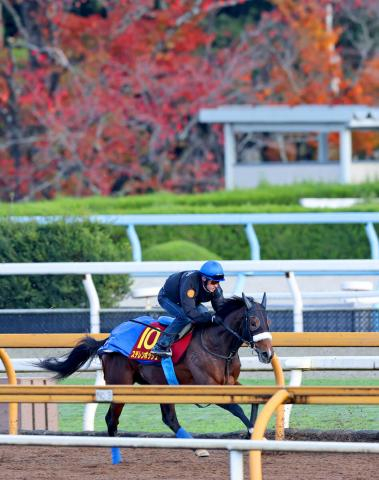 【エリザベス女王杯・ヤマタケが見た】やれることはすべてやる　無双ルメール2週連続騎乗に見た国枝調教師の本気