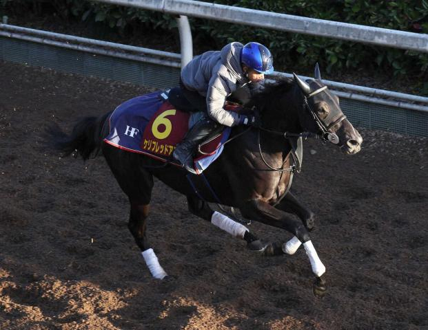 【エリザベス女王杯】ケリフレッドアスク　岩田康背に順調、藤原師「来年に向けていい経験になれば」