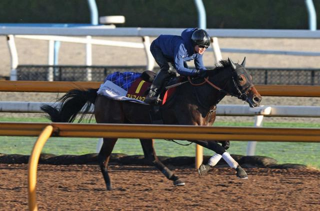 【エリザベス女王杯】アドマイヤマツリ　反攻へ好リズム!宮田師「春より体力がついた」