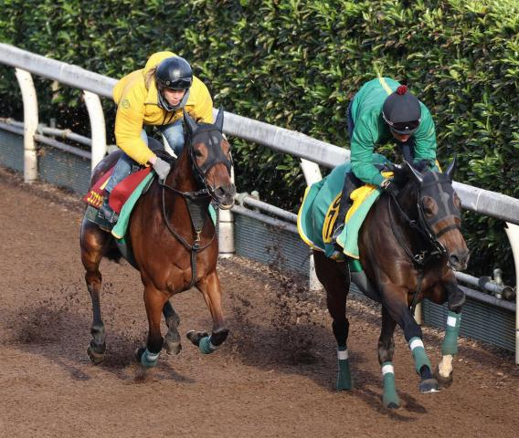 【エリザベス女王杯】ココナッツブラウン　思惑通りの動き、上村師「やりたいことをやれた」