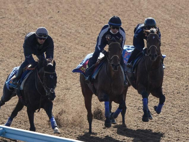 【エリザベス女王杯】カナテープ　馬体維持できた!堀師「相手関係から通用していい」
