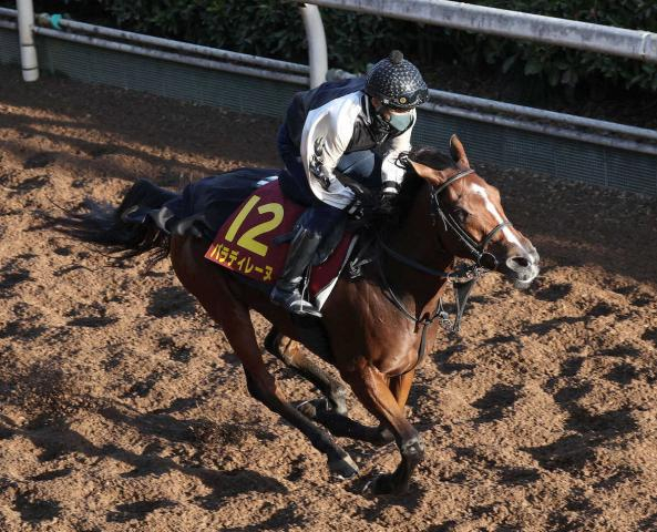 【エリザベス女王杯】パラディレーヌ　前走の状態維持、千田師「欲目で見ると元気に見える」
