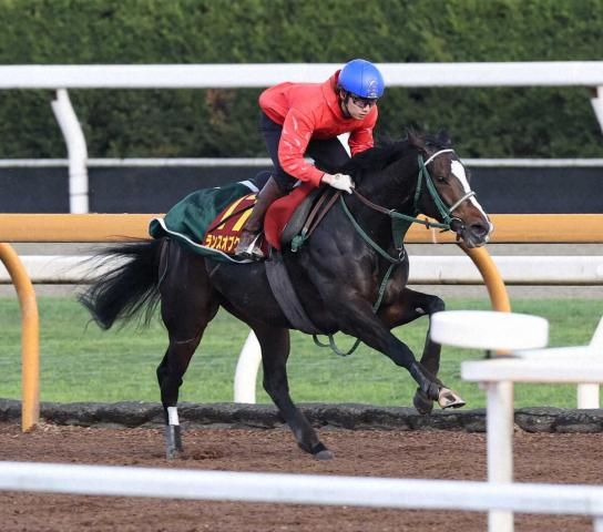 【エリザベス女王杯】ランスオブクイーン　文句ないの動き!斎藤「今の京都の芝ぐらいがベスト」