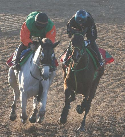 【エリザベス女王杯】ライラック　併せ手応え十分、相沢師「乗り方一つなんじゃないかな」