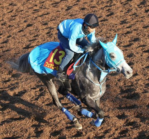 【エリザベス女王杯】フェアエールング　あえて余力残し、和田正師「平均的に動かすことができて良かった」