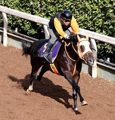 【マイルCS1週前追い】ジャンタルマンタル鋭伸!高野師「軽やかでメンタルいい」