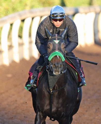 【エリザベス女王杯】エリカエクスプレス　淀は2戦2連対好相性