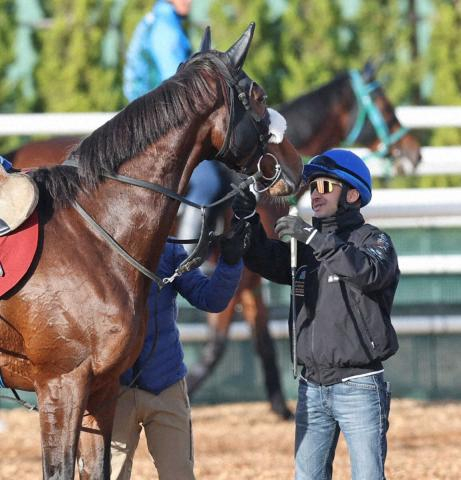 【エリザベス女王杯】国枝厩舎×ルメール　牝馬限定の重賞なら連対率64・7%