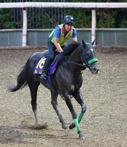 【注目馬動向・3歳&古馬】ルガルは西村淳とのコンビ復活で京阪杯へ　ダノンマッキンリーは香港スプリント視野