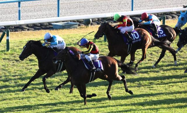 【エリザベス女王杯】戸崎レガレイラが貫禄V!3連単は1番人気→4番人気→9番人気で2万4680円