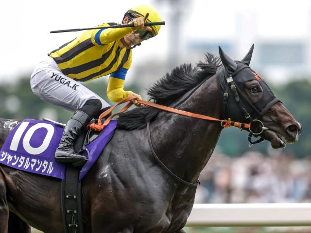 マイルCS、東スポ杯2歳Sなど3重賞/今週の競馬界の見どころ