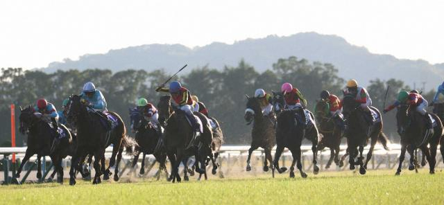 【エリザベス女王杯】ノーザンF通算13勝　吉田勝代表も興奮「感動した」