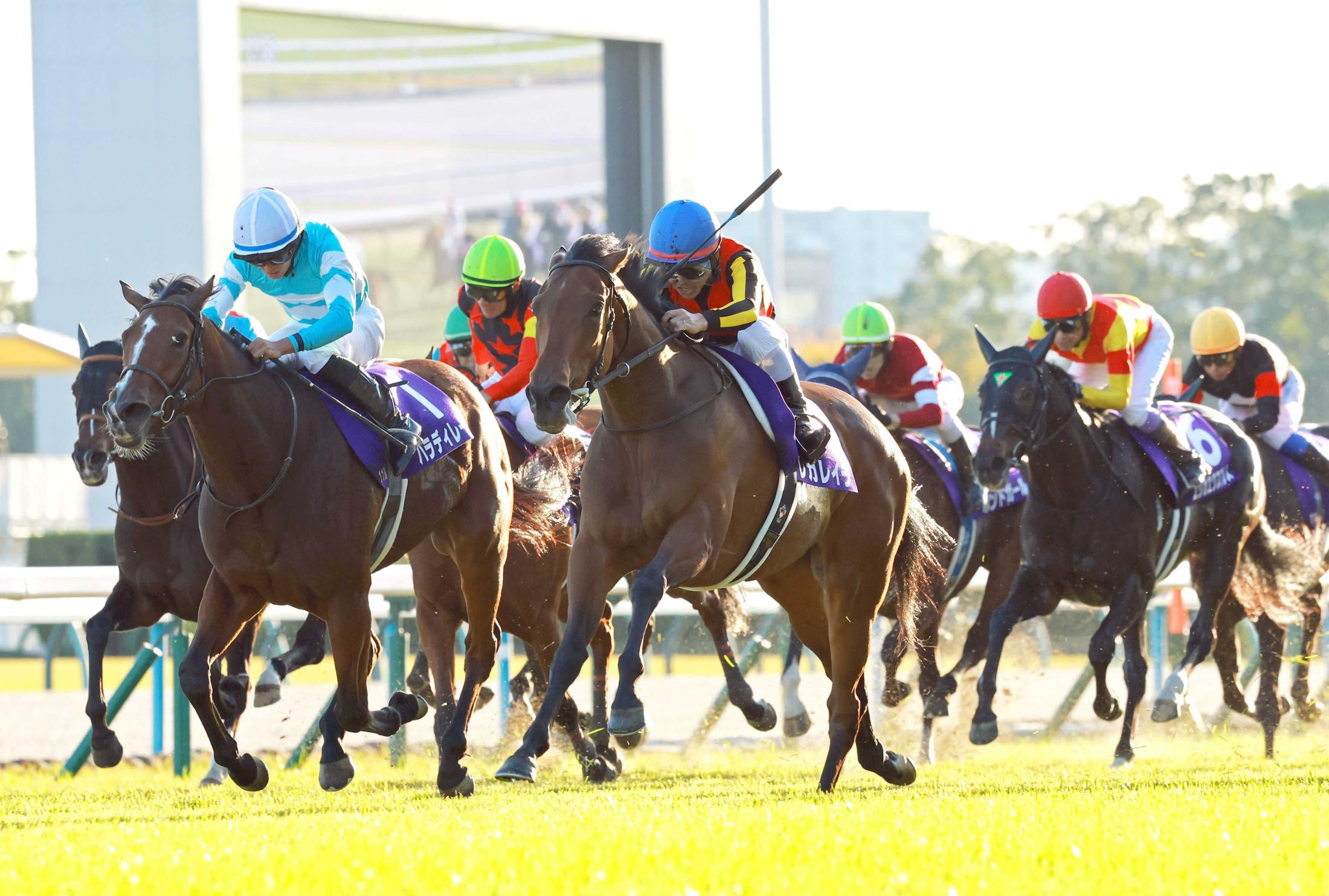 【エリザベス女王杯】レガレイラ　Ｇ１・３勝目！ＧＰ馬完全復活Ｖ　戸崎圭「一番強いと信じて乗っていた」