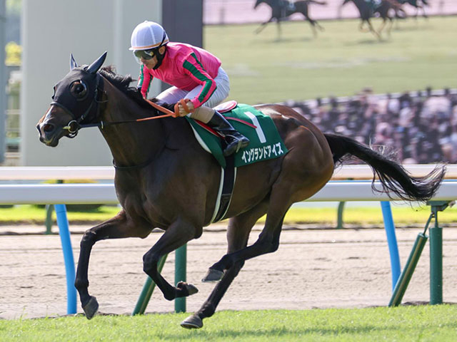 【福島記念想定騎手】イングランドアイズは松若風馬騎手、クリスマスパレードは戸崎圭太騎手