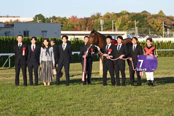 【マイルCS AI予想】あとは枠順次第!? AIが推奨する実績馬の信頼度をチェック