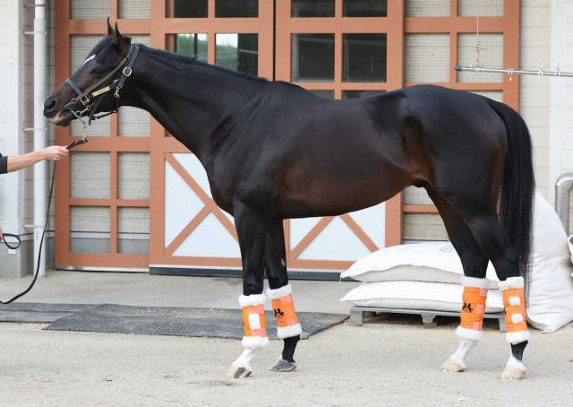 【マイルCS】ジャンタルマンタル95点　好馬体キープ