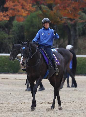 【マイルCS】ソウルラッシュ　待望の京都替わり　連覇へ「順調」