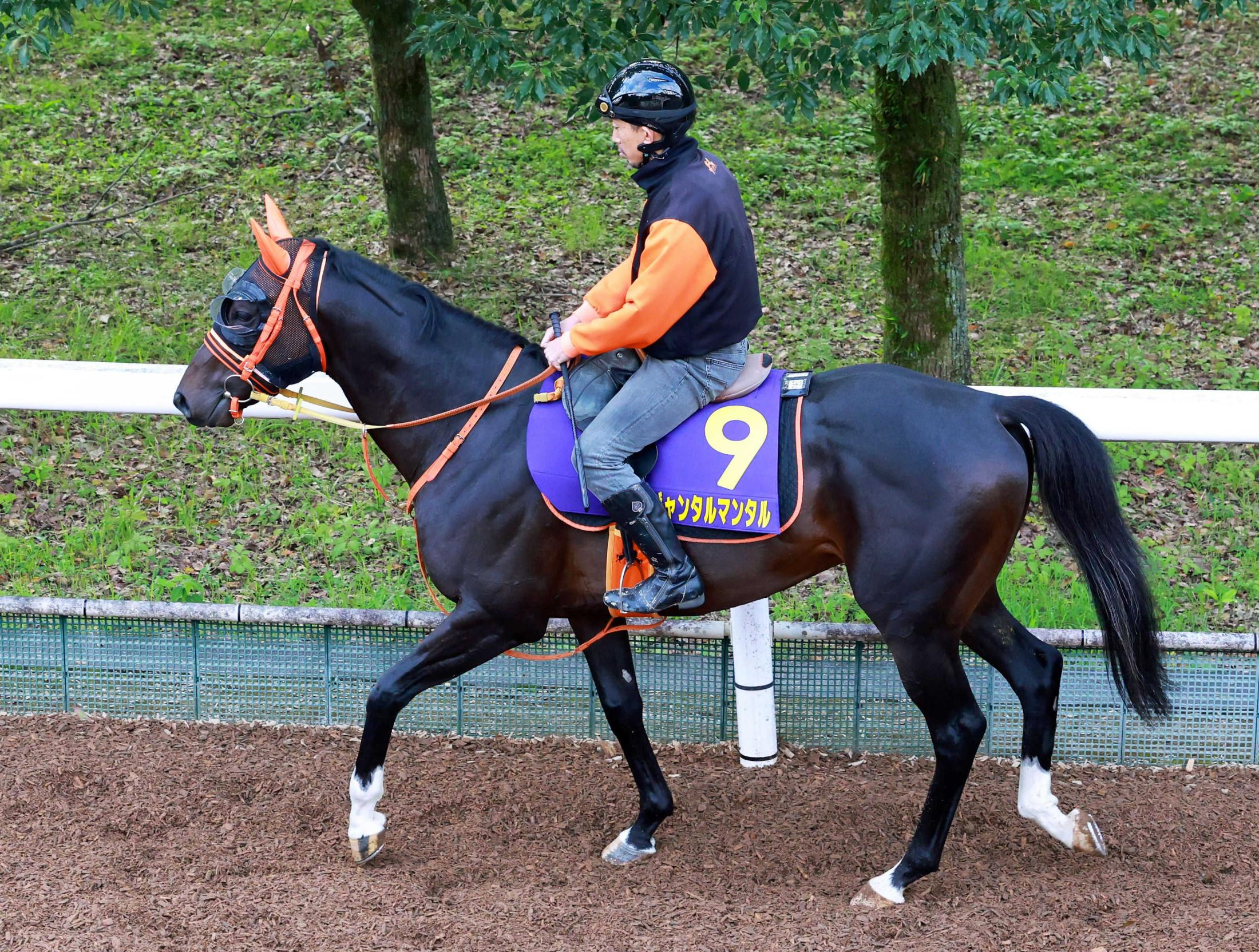 【マイルＣＳ】ジャンタルマンタル　春秋マイルＧ１制覇をデータも後押し　過去の勝ち馬全頭がＧ１連対