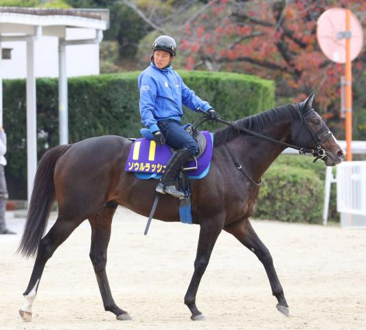 【マイルCS】史上7頭目の連覇目指すソウルラッシュは絶好の状態　池江調教師「まるでドバイ・ターフの最後のよう」