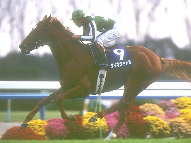 1位は最強マイラーが魅せた5馬身差の大楽勝 マイルCS着差ランキングTOP5