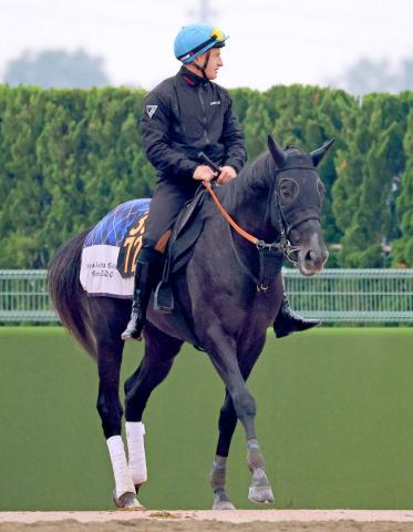 【東京スポーツ杯2歳S】素質馬ゾロアストロが逆襲へ“秘策”　宮田調教師「集中力の面で試行錯誤」