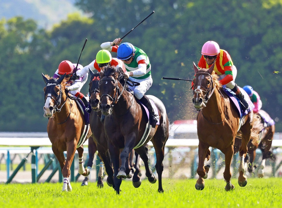 天皇賞・春の覇者ヘデントールは年内休養、来年から再始動