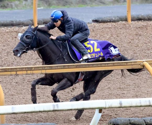 【ジャパンC1週前】クロワデュノールは3頭併せで遅れるも北村友一騎手「先週からは良化している」