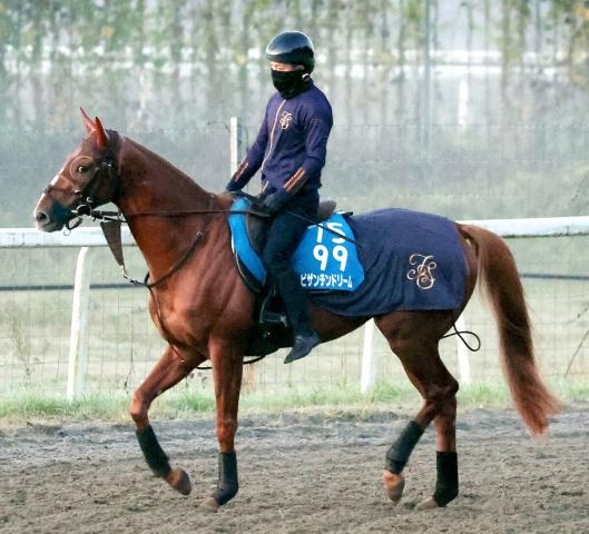 香港国際競走の招待を受諾していたビザンチンドリーム、ジューンブレアが辞退