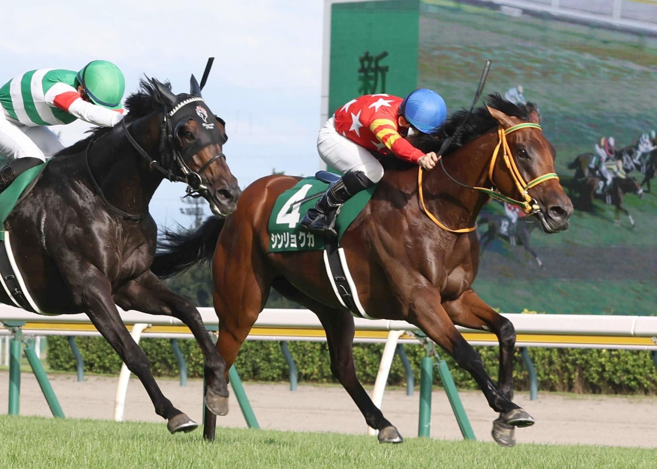 シンリョクカ引退で繁殖入り　竹内師「また子どもに携われる日が来たら」　“かわいすぎる騎乗依頼”きっかけで木幡初也騎手とのコンビで重賞制覇