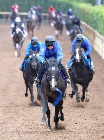 【マイルCS】ソウルラッシュが連覇見据え気合十分の最終デモ　池江調教師「コンディションは去年と変わりない」