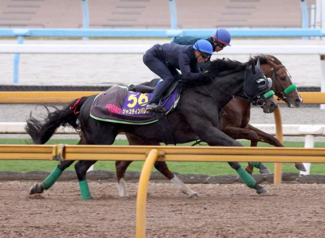 【ジャパンC1週前】ジャスティンパレスはCデムーロ騎手を背に機敏な伸び　杉山晴調教師「折り合いがついていた」