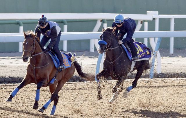 【ジャパンC1週前】巻き返し狙うドゥレッツァは反応ひと息　プーシャン騎手「不満が残る」