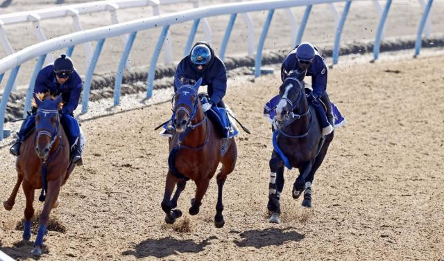 【ジャパンC1週前】マスカレードボールは長めからの併せ馬でしっかりと負荷　手塚久調教師「心肺機能は…」