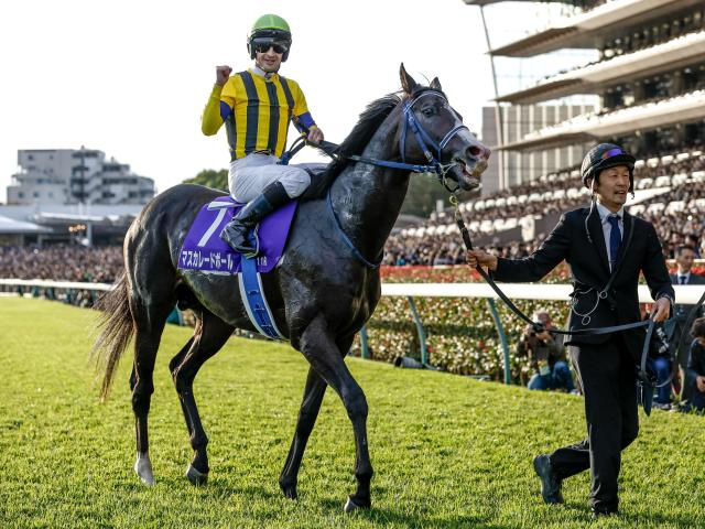 【ジャパンC予想】ダービー馬と古豪が激突 栄光の勝利をつかむのは