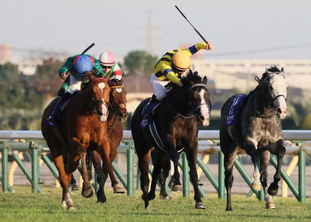 【ジャパンC】マスカレードボール　悔し頭差2着　壮絶叩き合いにルメール「いい試合だった」