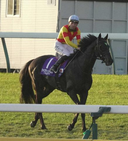 【ジャパンC】ジャスティンパレス　しぶとく伸びるも5着　C・デムーロ「この馬なりに頑張った」