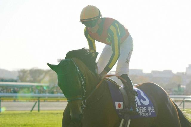 【ジャパンC】ブレイディヴェーグ　紅一点奮闘及ばず6着　マーカンド「最後疲れてしまった」