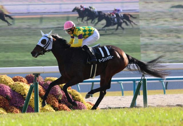 【白菊賞】マーゴットラヴミー連勝　3馬身差圧逃　菱田「凄いスピード」