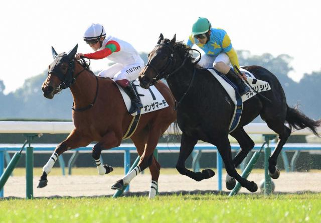 【京都新馬戦】オンザマーチ　スタート決まって逃げ切りV　今野師「センスがいい」