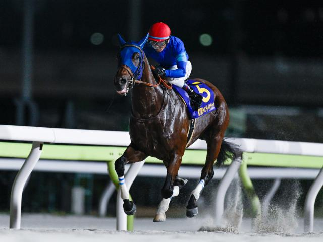 秋のダート王決定戦チャンピオンズCなど3重賞/今週の競馬界の見どころ