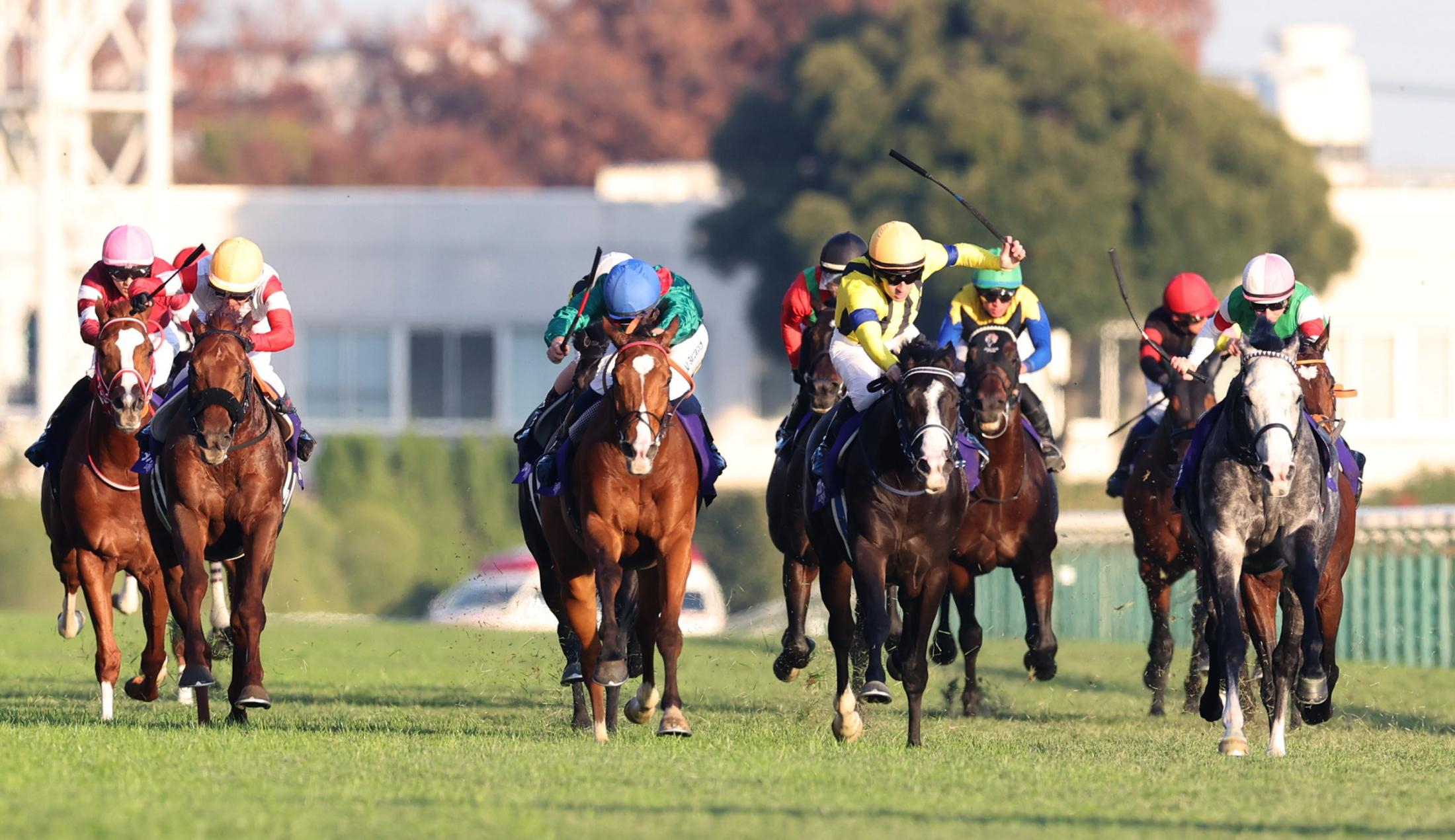 【ジャパンＣ】ダノンデサイル　復権ならず３着　安田師「しっかりケアします」ゴール後に戸崎圭は落馬　