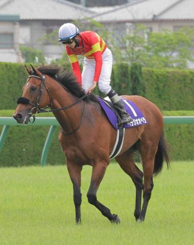 【香港カップ・国内最終追い】海外G1初挑戦のベラジオオペラが仕上がり万全　上村調教師「日本でやれることはやった」