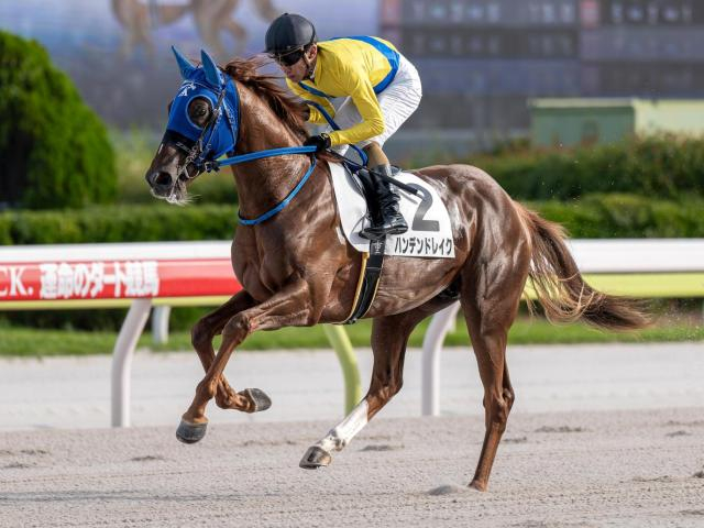 【大井・ジェムストーン賞枠順】重賞2着のハンデンドレイクは8枠15番