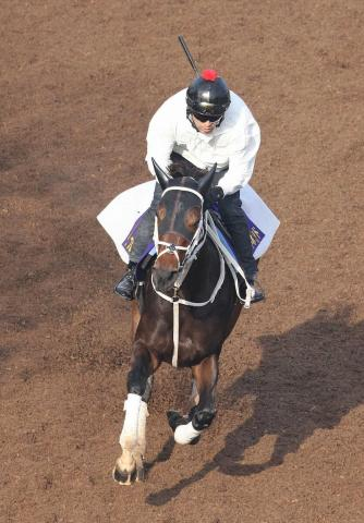 【チャンピオンズC】ダブルハートボンド好気配、前走の疲れなし