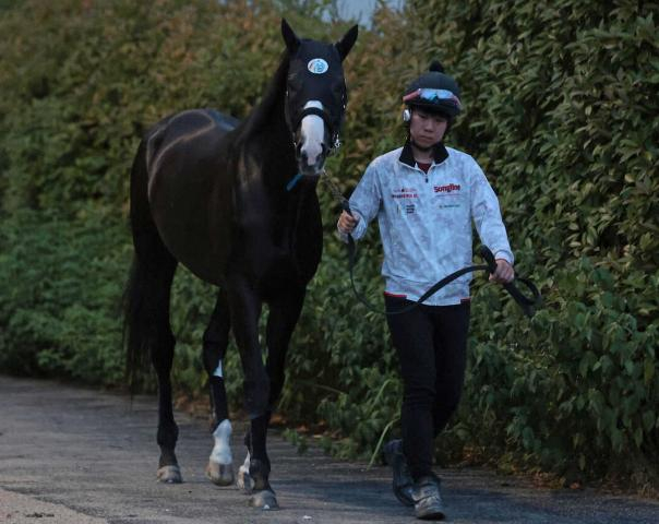 【スポニチ賞ステイヤーズS】ラスカンブレス逆襲ムード、中山での一変に自信