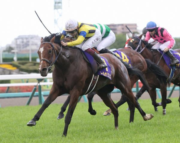 23年皐月賞馬ソールオリエンス引退、種牡馬入り