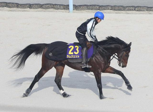 【チャンピオンズC】好況ラムジェット、鞍上・皇成のエスコートに期待
