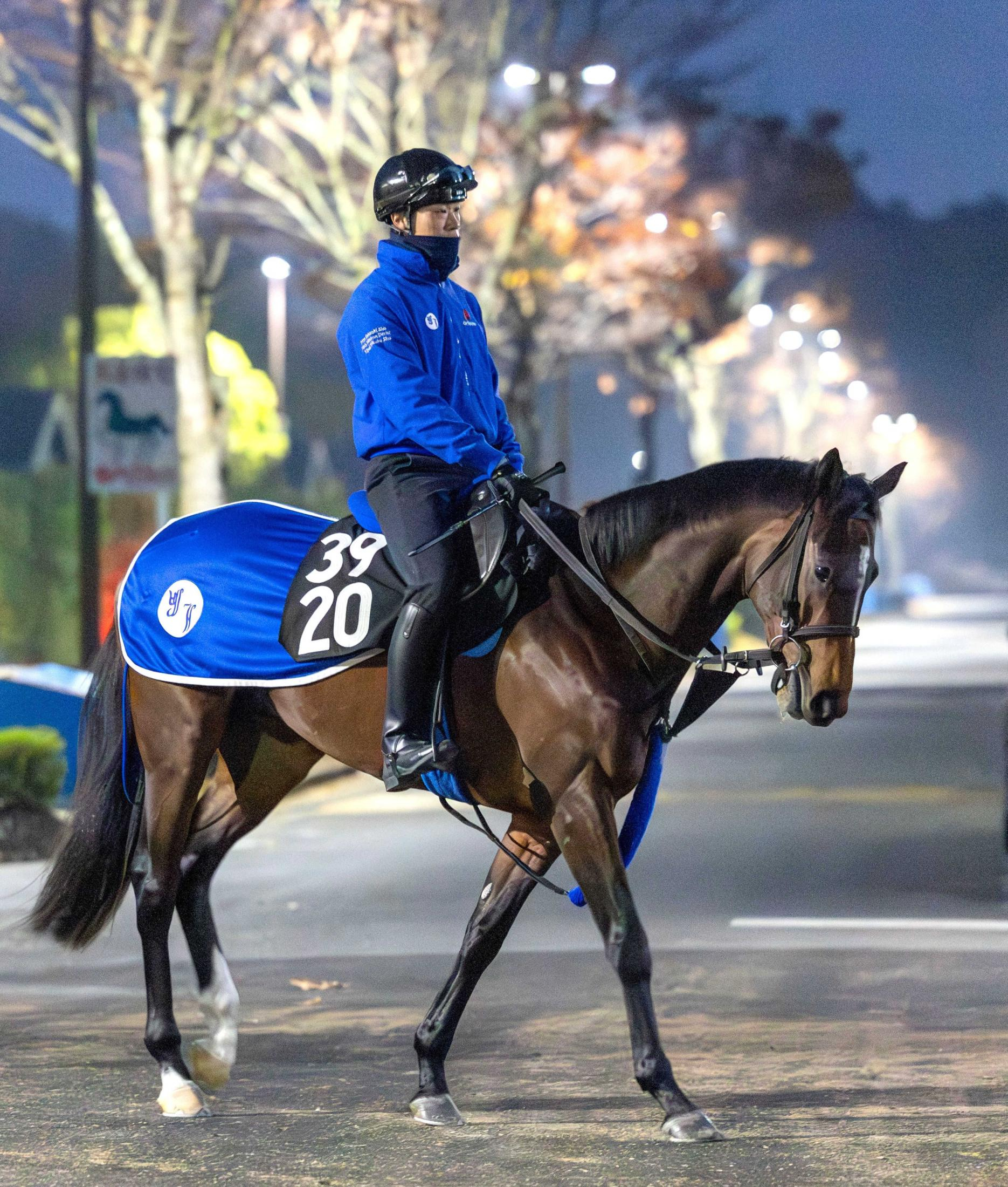 【新馬戦】イベントホライゾン　素質十分のディアドラ全弟　取引価格２億８０００万円の良血に初陣Ｖの期待